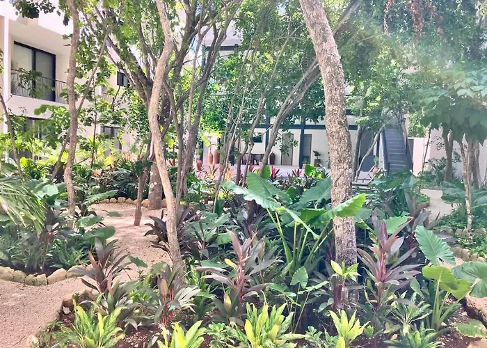 Near Ximbal 6 Guest Pool Gym Wi-fi Tulum